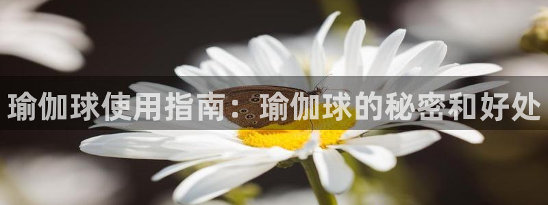 必赢亚洲游戏官网入口